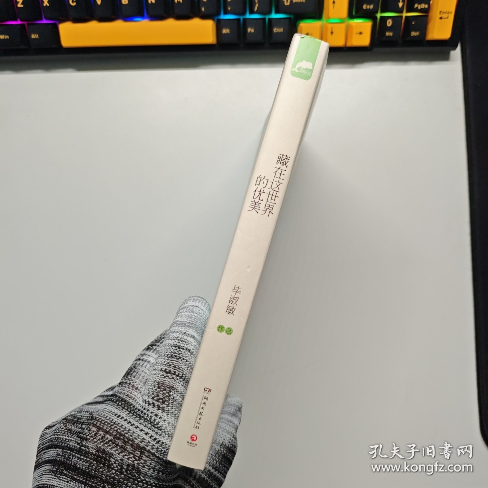 藏在这世界的优美