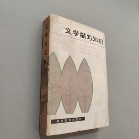 文學(xué)描寫知識(shí)