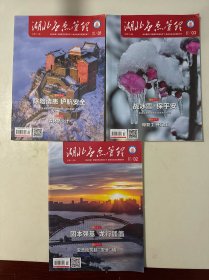 湖北应急管理 2024年 第1、2、3 期总第101、102、103期 共3本合售 杂志