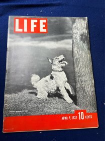 1937年4月美国生活杂志，图文专题美国大罢工，红衣主教活动，法国驻费城大使