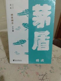 林家铺子：茅盾精读（壹本系列）