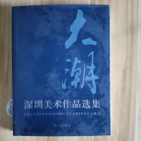 大潮 深圳美术作品选集
