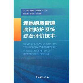 埋地钢质管道腐蚀防护系统综合评价技术