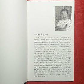 中国当代书法名家——王希坤书法集