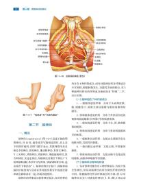 周围神经外科学