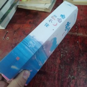 偷偷藏不住（全二册）竹已晋江金榜作品段嘉许VS桑稚
