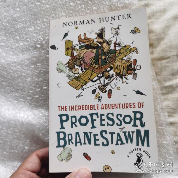 英文原版 The Incredible Adventures of Professor Branestawm B教授的狂想之旅 Puffin儿童经典系列 英文版 进口英语原版书籍