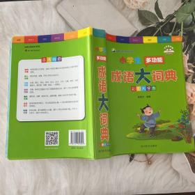 小学生多功能成语大词典（彩图大字本）