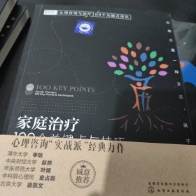 家庭治疗：100个关键点与技巧/心理咨询与治疗100个关键点译丛