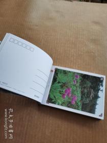 明信片：香格里拉的植物多样性（物种）
