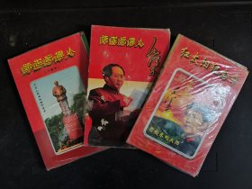 包邮 跨世纪伟人像章一、二、三集合拍，塑封略磨损，三本及68枚像章均齐整且完好无损，难得三集齐全（所有图书全部包邮，无论远近，也无需拼单凑单。满69元再享9折优惠——交易完成后私信补贴）