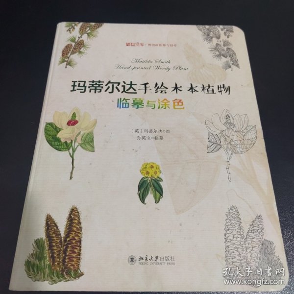 玛蒂尔达手绘木本植物：临摹与涂色