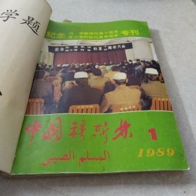 中国穆斯林1989.1-6