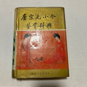 唐宋元小令鉴赏辞典 精装