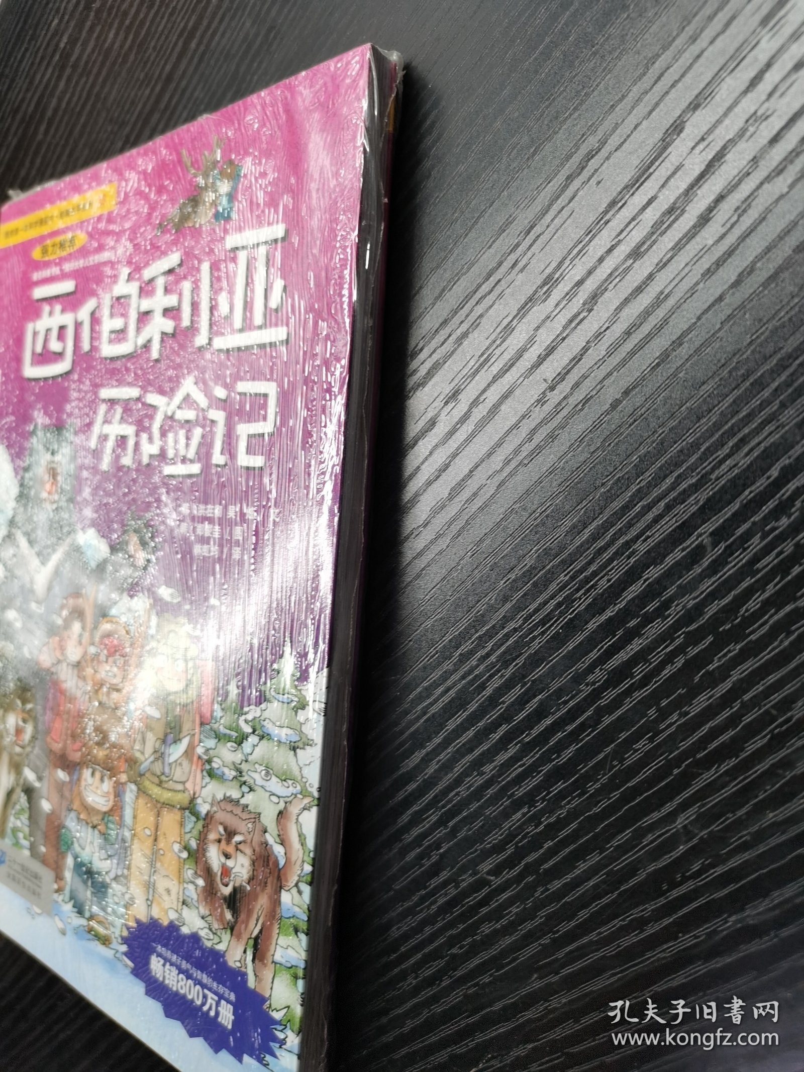 我的第一本科学漫画书·绝境生存系列（13）：西伯利亚历险记