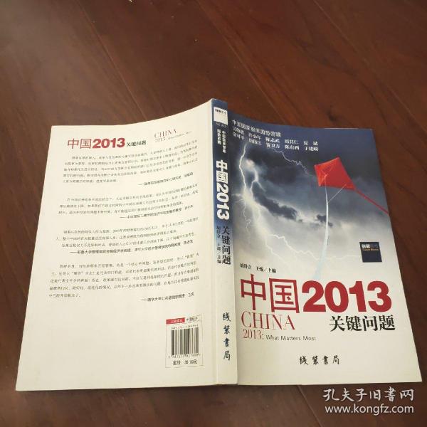 中国2013：关键问题