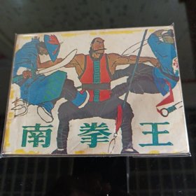 南拳王