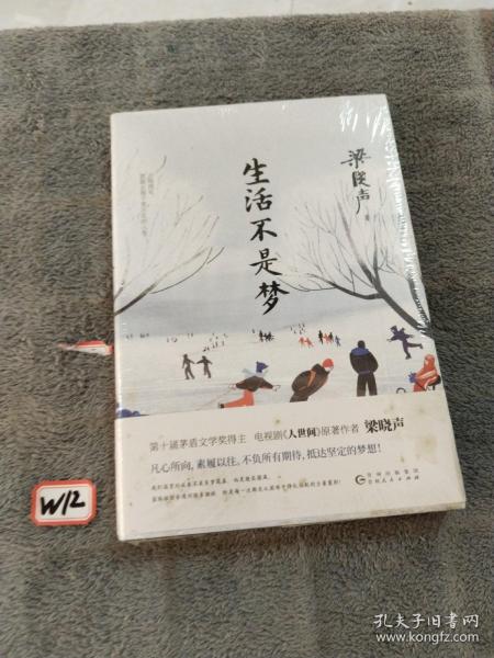 生活不是梦（茅盾文学奖得主、《人世间》原著作者梁晓声——给年轻人的人生清醒之书！看透生活本质，以众生百态写尽时代、社会变迁）