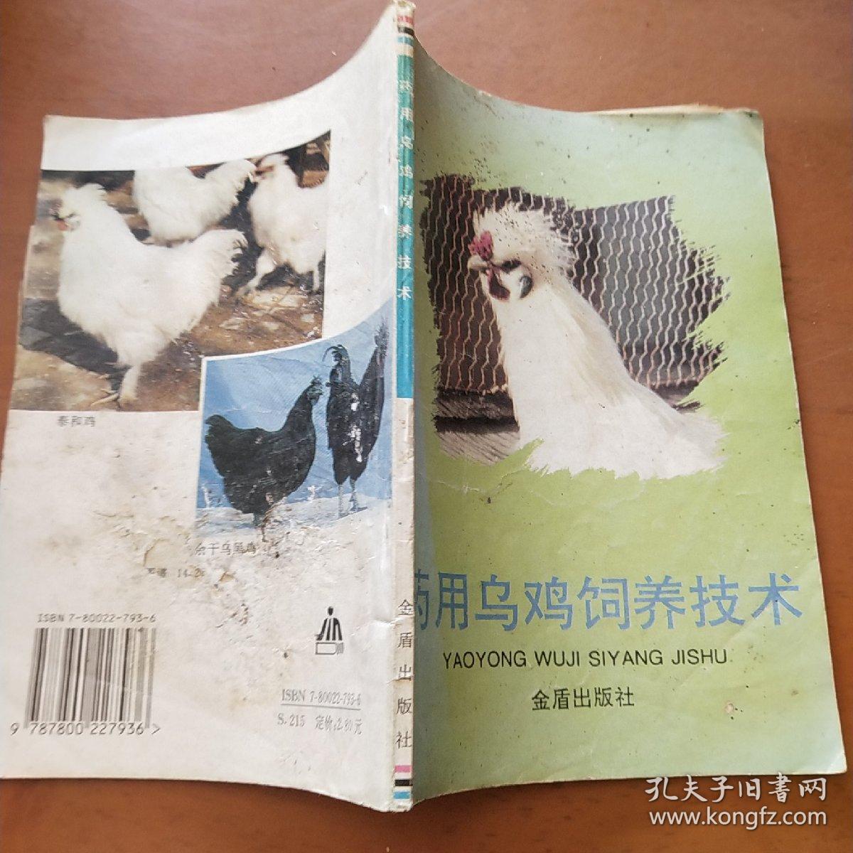 药用乌鸡饲养技术