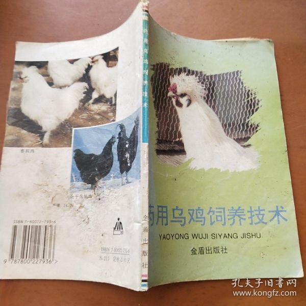 药用乌鸡饲养技术