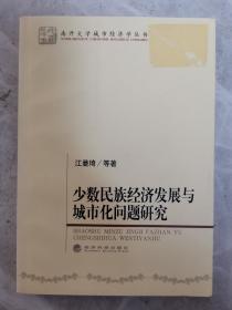 少数民族经济发展与城市化问题研究