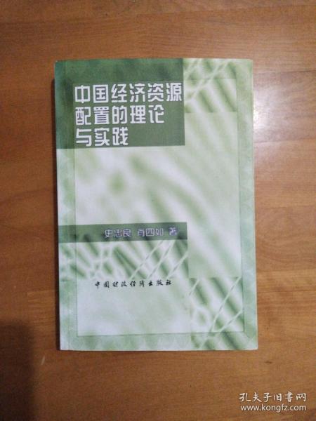 中国经济资源配置的理论与实践