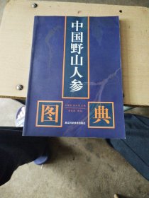 中国野山人参图典