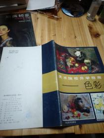 美术院校升学指南一色彩①