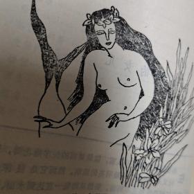 安徒生童话新注全本(4)