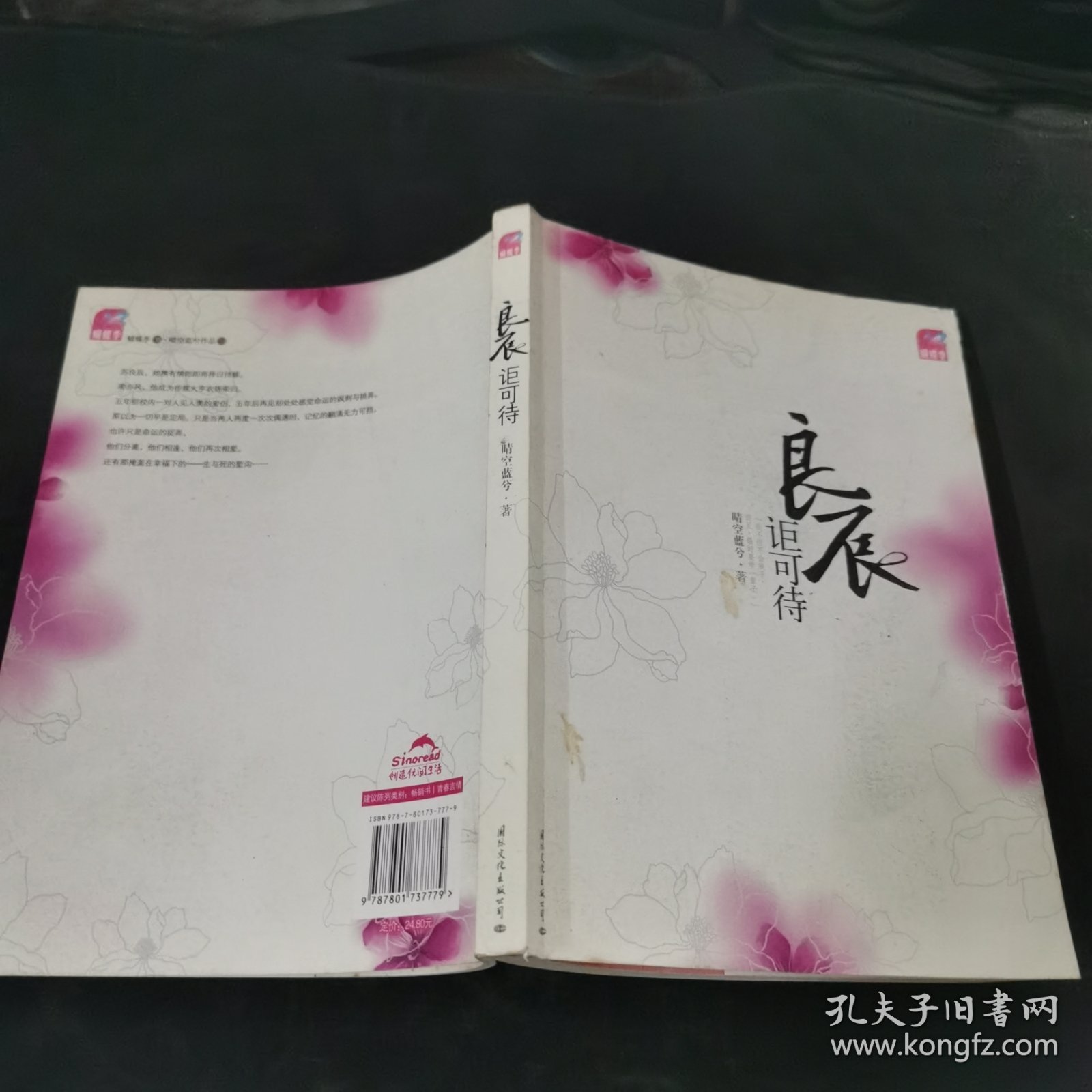 良辰讵可待