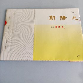 病友手写日记本共30页 复印