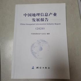 中国地理信息产业发展报告——2020