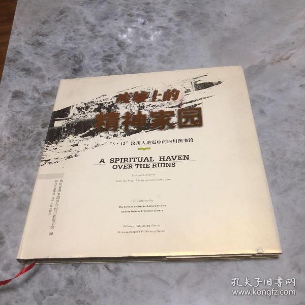 废墟上的精神家园:“5·12”汶川大地震中的四川图书馆:Sichuan libraries after the May 12th Wengchuan earthquake