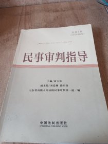 民事审判指导（总第1卷）（2011年第1集）