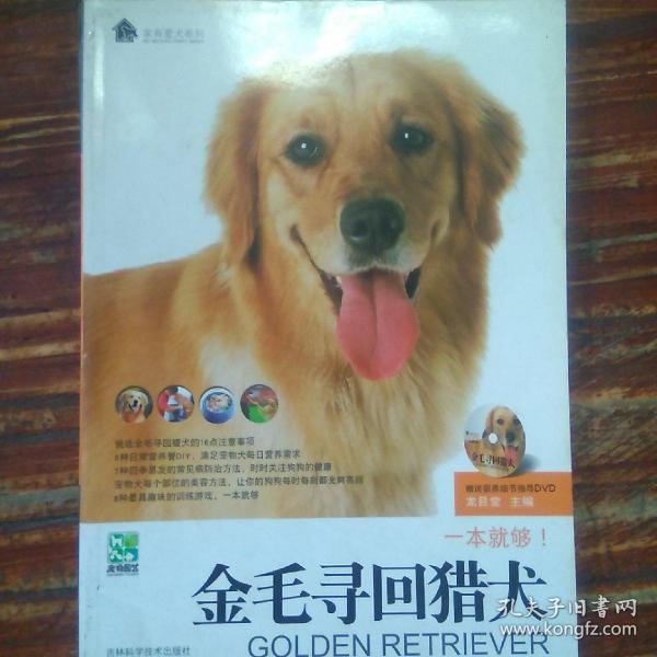 金毛寻回猎犬