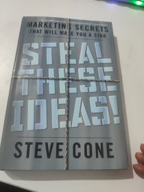 STEAL THESE IDEAS!