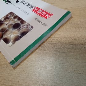 草菇周年栽培关键技术