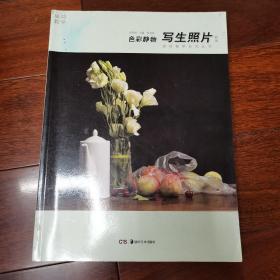 成功教学系列丛书 美术高考解决方案:写生照片 色彩静物