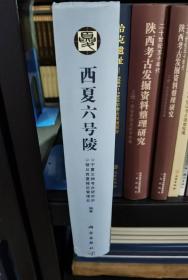 宁夏文物考古研究所丛刊（24）：西夏六号陵