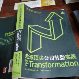 全球顶尖公司转型实践（边缘稍有斑点）