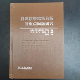 特高拱坝枢纽分析与重点问题研究