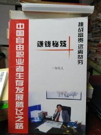 赚钱秘笈，中国自由职业者生存发展腾飞之路