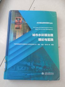 城市水环境治理理论与实践（水环境治理与保护丛书）