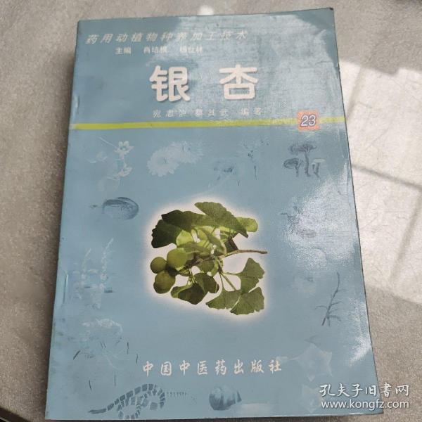 银杏——药用动植物种养加工技术（含CD-ROM一张）