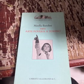 1972 ARTE POVERA A TORINO