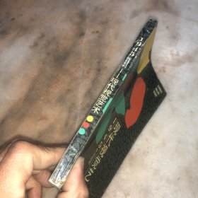 1945年之后的现代视觉艺术