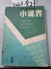 小说界   1985年4期