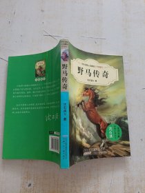 中外动物小说精品：野马传奇