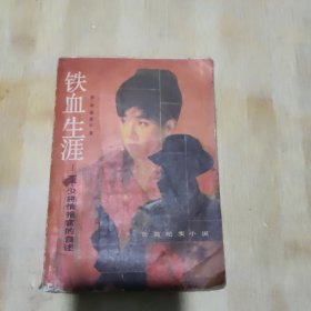铁血生涯:一个少将情报官的自述