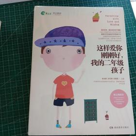 这样爱你刚刚好 我的二年级孩子    未开封